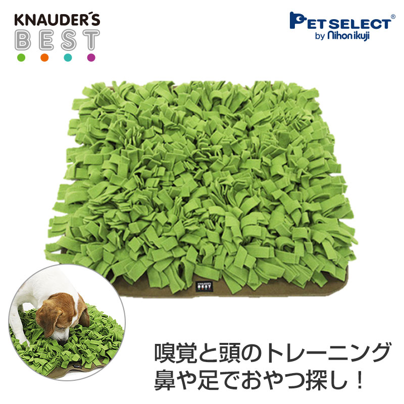 独特の上品 プレイマット グリーン 嗅覚と頭を使って楽しくおやつ探し ゲーム 知育トイ おもちゃ 早食い防止 犬 認知症予防 運動不足 ストレス解消 しつけ 訓練 トレーニング 知育玩具 布製 児童