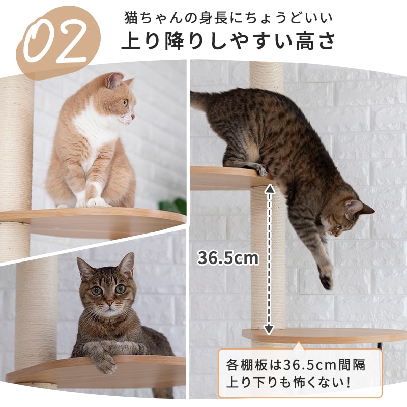 ����åȥ�� �˥�󥳥Υ���(�ĥ꡼)���� ���� ǭ ��� ŷ��⤵ 240��255cm�ޤ� ����� �ĤäѤ꼰 �򴹲�ǽ �ޤȤ� ���� �� �ϥ��� ��ư��­ ����ץ� ����ѥ��� ���� ¿Ƭ���� ���˥� ��ǭ ���졼 �緿ǭ ����åȥϥ���