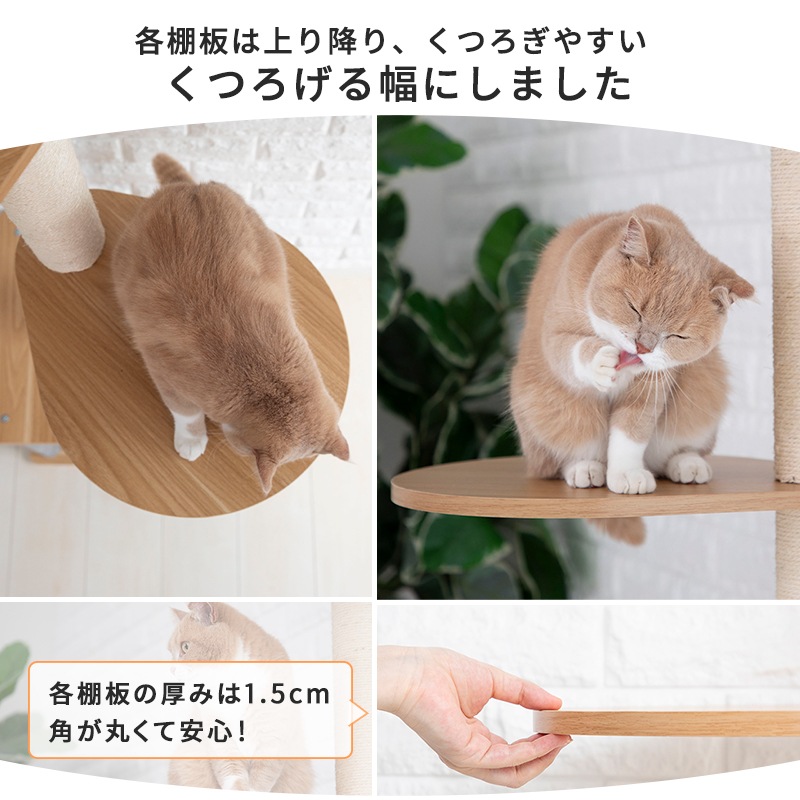 ����åȥ�� �˥�󥳥Υ���(�ĥ꡼)���� ���� ǭ ��� ŷ��⤵ 240��255cm�ޤ� ����� �ĤäѤ꼰 �򴹲�ǽ �ޤȤ� ���� �� �ϥ��� ��ư��­ ����ץ� ����ѥ��� ���� ¿Ƭ���� ���˥� ��ǭ ���졼 �緿ǭ ����åȥϥ���