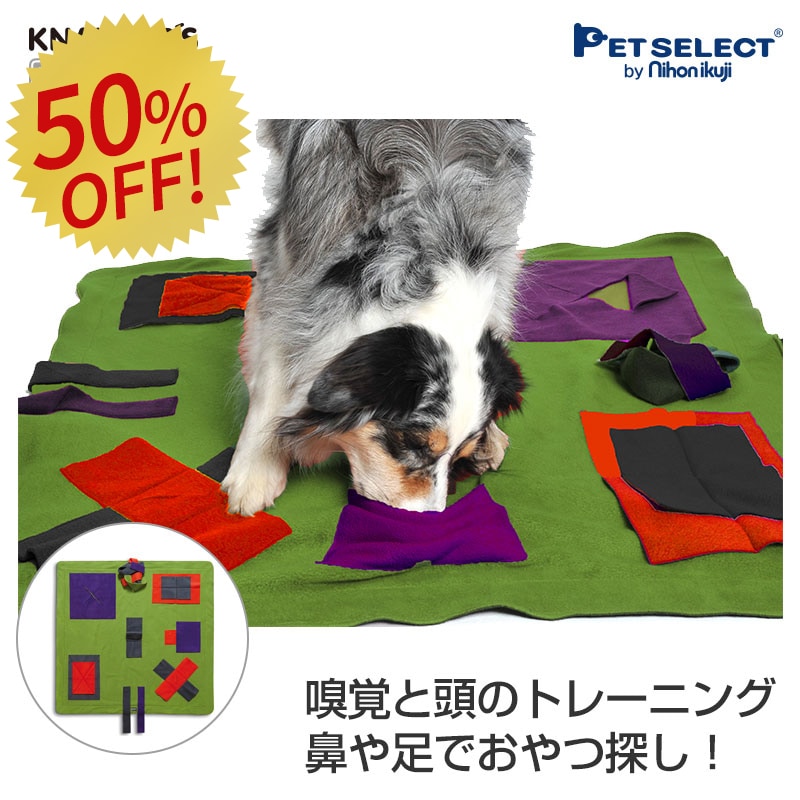 57%OFF 󥸥ץ쥤ޥåȡ̳ФƬȤäƳڤõΰ񡡡 ΰȥࡡȥ졼˥󥰡Ĥȥ쥹 ư­ǧξͽɡῩɻ