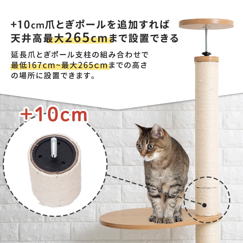 ����������� ����åȥ�� �˥�󥳥Υ��� (�ĥ꡼������ �ɲ� �ޤȤ��ݡ��� 10cm  ���촬�� �ޤȤ� ǭ�ݡ���������  ���ѡ��ĤΤߡ�����åȥĥ꡼������