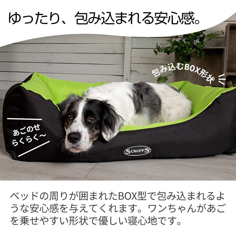 ڥǥܥå٥åɡأ̥ ꥹȯ/饰奢꡼ ڥåȥ٥å 緿ڥåȥ٥åɡ٥åɡڥåȡ٥åɡ롡ղƽߡ륷󡡸ǭ scruffs