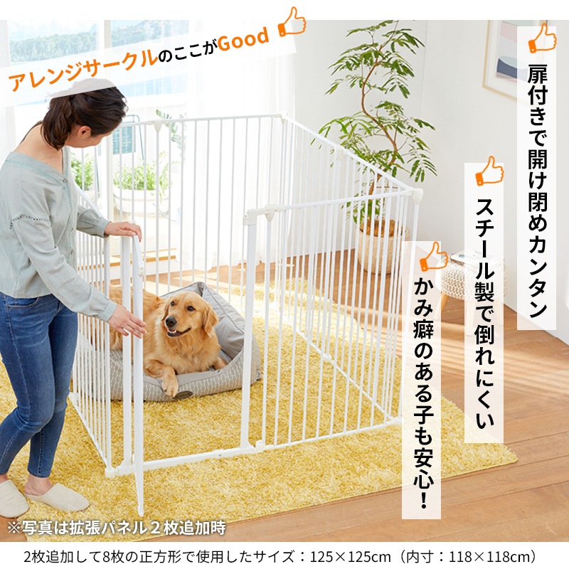 ڥåȥ 󥸥 &  100cm  緿     ڥåȥ  緿ʤΤ Բ