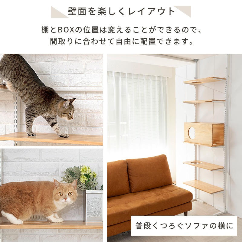 ����������� �򴹡��������� ����åȥ������� �˥�󥳥ҥ륺 ���� ê��2�祻�å� ������åȥ������� �˥�󥳥ҥ륺���Τ����� ���ʥ�����Υ��顼�Τ� �ڥåȥ��쥯�� PETSELECT