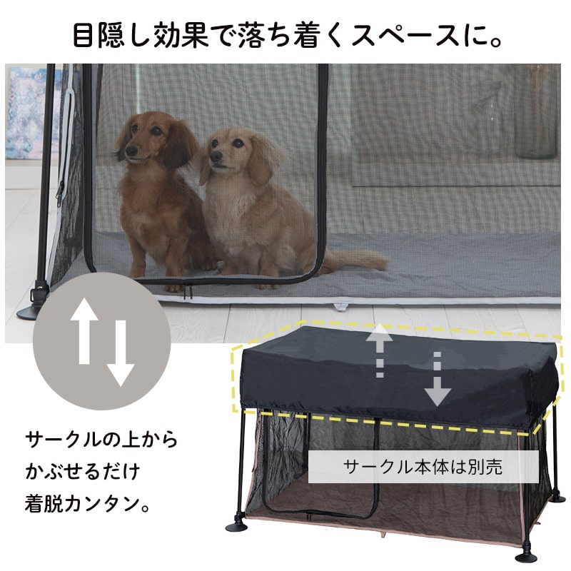 ۤڥåȥ  ׸С()֥å å ޤ֤ڸ ¿Ƭ  æñ Τ