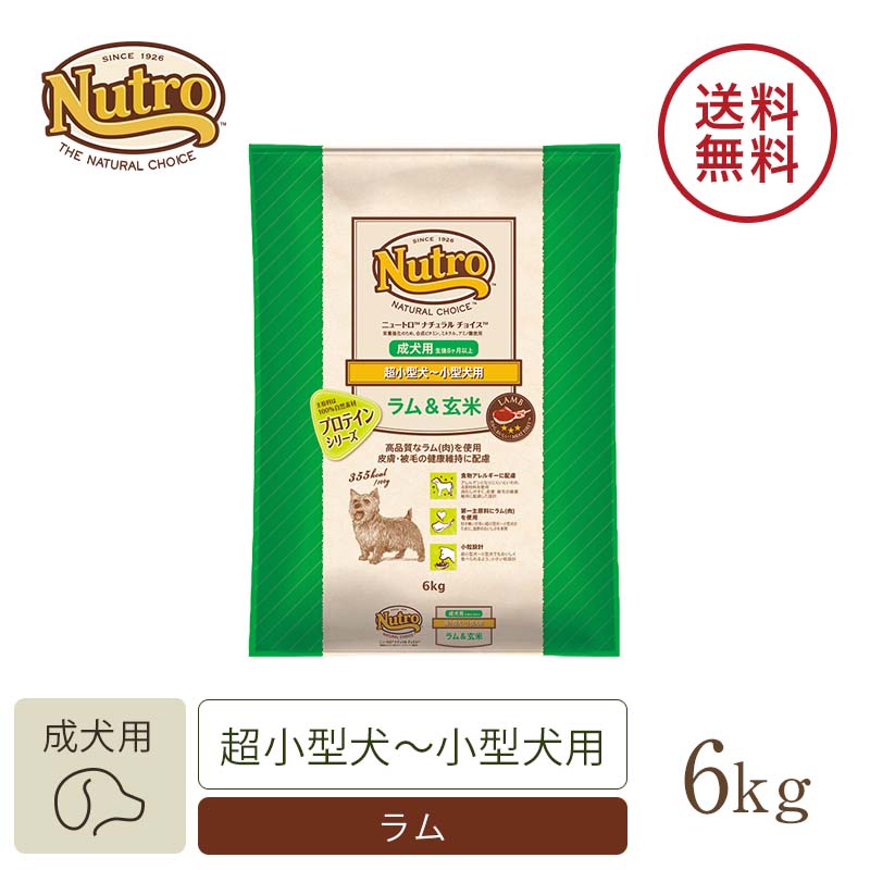 ナチュラル チョイス ラム&玄米 超小型犬~小型犬用 成犬用