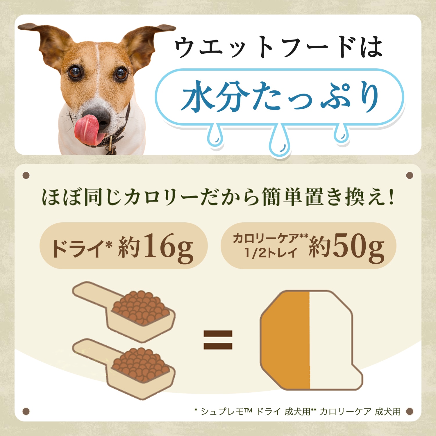 ニュートロ　シュプレモ　カロリーケア　シニア犬用　トレイ 100ｇ