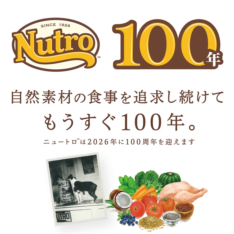 ニュートロ ナチュラルチョイス 室内猫用 アダルト チキン プロ 3kg×4 キャットフード ニュートロ 猫 ナチュラルチョイス 室内猫用