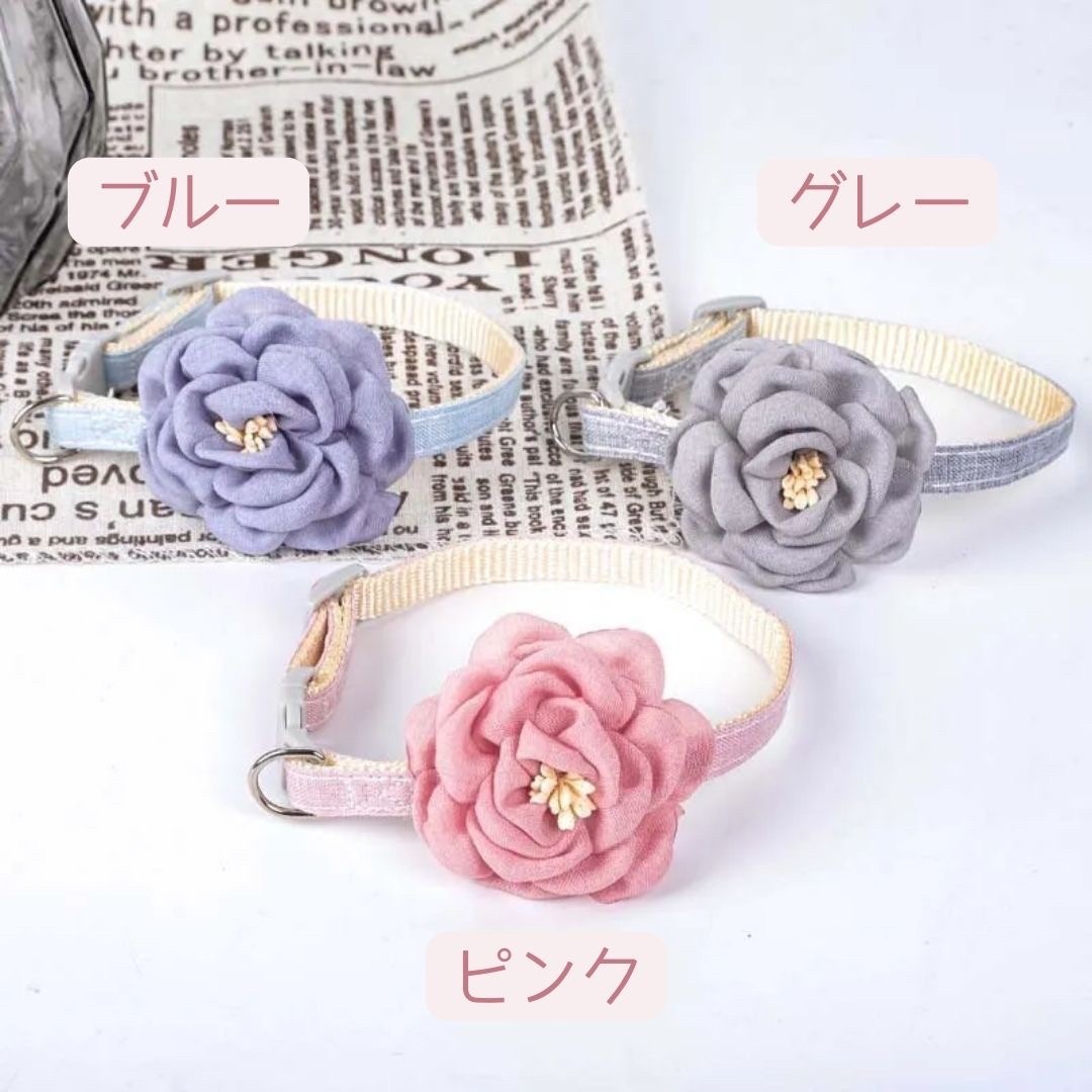 ڥå ǭ  եץ󥻥 3顼 ץ쥼   ǭ