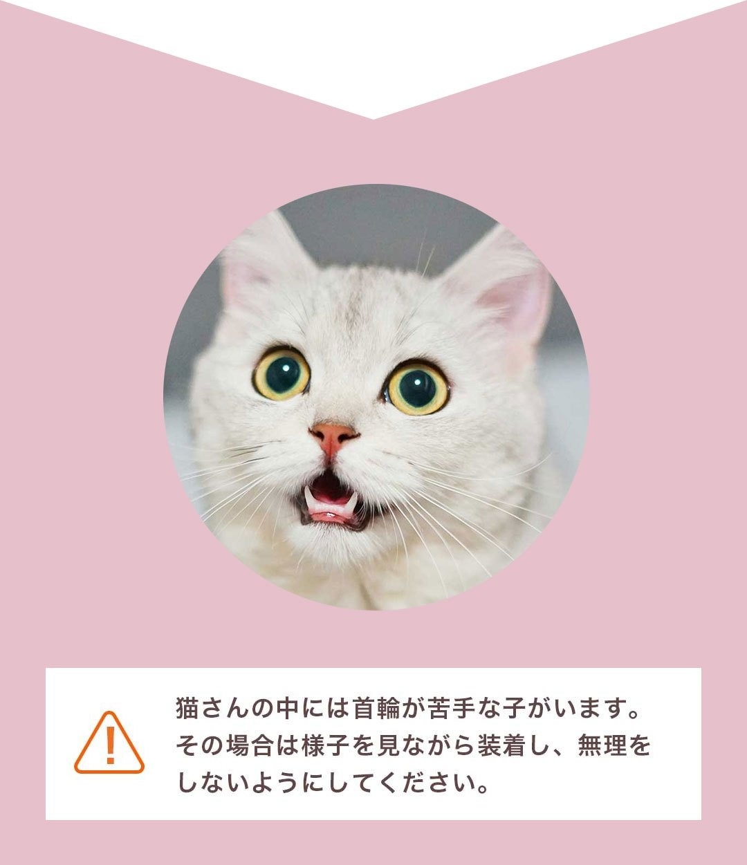 ڥå ǭ  ٥ 뤢 ٥ȼ ץ 4顼  ץ쥼   ǭ