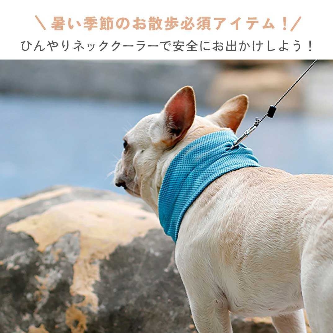 ڥå ͥå顼 Ǯк ̥ ٤3 ڥåȥå 