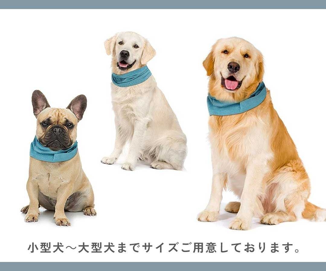 ڥå ͥå顼 Ǯк ̥ ٤3 ڥåȥå 