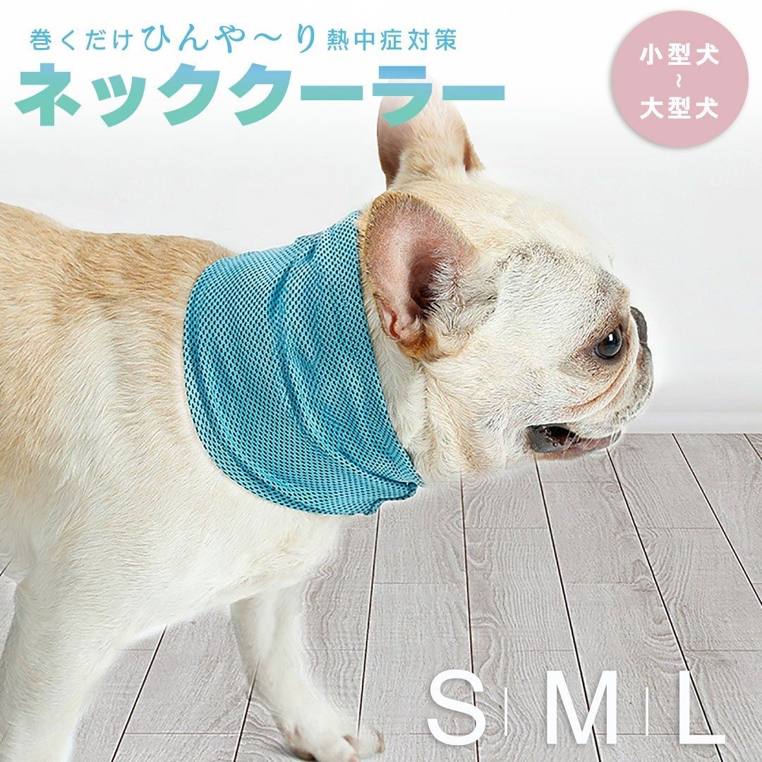 ڥå ͥå顼 Ǯк ̥ ٤3 ڥåȥå 