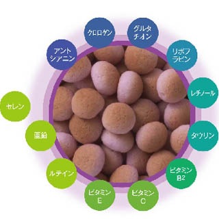 ڥ˥Ʒ餭ܡ ܤΥȥ֥롦ͽɤˡ