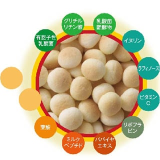 ڥ˥ۤʢܡĲȤʢη򹯤ˡ