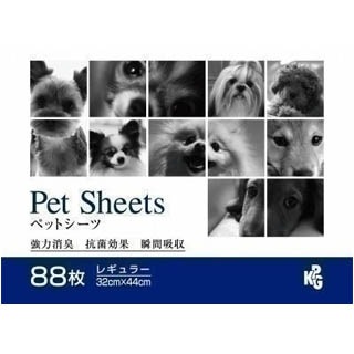 ڥڥåȥץۣˣУǥڥåȥġ쥮顼