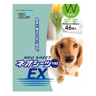 �ڥ������硼�ۥͥ�������EX���磻���������46��