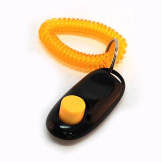 󥯥å֥å㰦Υȥ졼˥󥰤ˤ