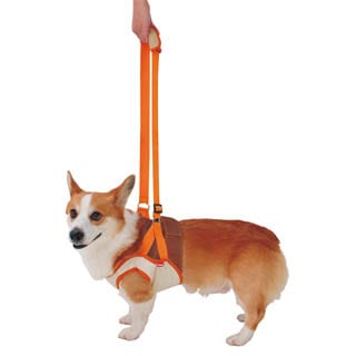 ペティオ 老犬介護用 歩行補助ハーネス 前足用ｋ ｌ 介護用品 歩行補助 老犬向け介護用品 ドッグフード ペット用品通販のペットベリー