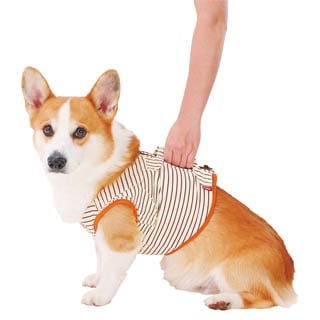 �ڥڥƥ�����Ϸ������ѡ������ǽ�ե٥��ȣˡ���