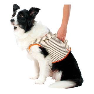 �ڥڥƥ�����Ϸ������ѡ������ǽ�ե٥��ȣˡ�����