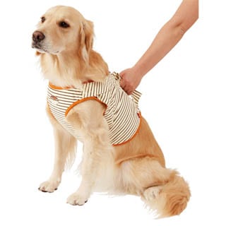 �ڥڥƥ�����Ϸ������ѡ������ǽ�ե٥��ȣˡ�����