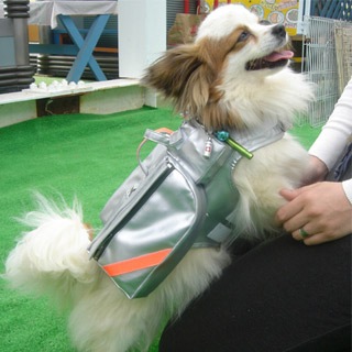 �ڥ����ǥꥢ������񥸥㥱�åȡ���殺�å�15���ա� 5��