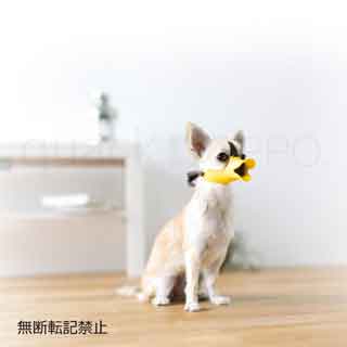 ��OPPO�ۥ����å�������������SS