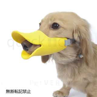 ��OPPO�ۥ����å�������������M