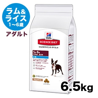 �ڥ������󥹥������åȡۥ�����ȡ�1��6�Сˡ������饤������γ�����������