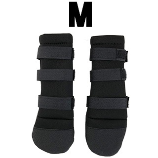 ���߸˽�ʬ�����뢨�ڥڥåȥ٥꡼���ݸ�塼����2�ġ� ���η���M