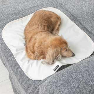 HappyDays】洗える消臭防水シートS | 犬用品,ベッド・マット