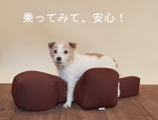 試乗依頼用】 OneAid リラクッション 試乗配送手続き ※商品の販売では