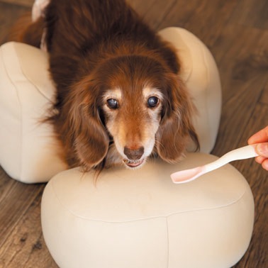 試乗依頼用】 OneAid リラクッション 試乗配送手続き ※商品の販売では