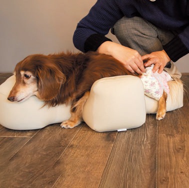 試乗依頼用】 OneAid リラクッション 試乗配送手続き ※商品の販売では