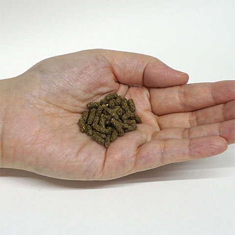 GEX ラビットプレミアムフード 850g/ラビットフード エサ えさ 餌