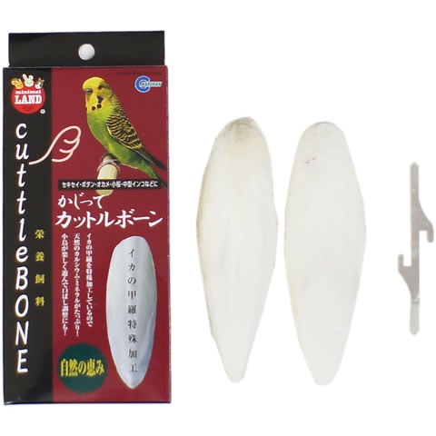 �����äƥ��åȥ�ܡ���/�����ι� ���륷���� �ߥͥ�� ��Ļ �������� ������ �������� �ܥ��󥤥� �ޥ륫�� MARUKAN