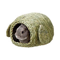 ��28��ǯ��������ۥ��⥷���Τ�����(��)/�ϥ��� �٥å� ���� ���⥷�� ŷ���Ǻ� ��ưʪ ������ ������ ����å� �ץ졼�꡼ ������� �ޥ륫�� MARUKAN