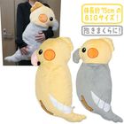 �����ᥤ��XL/�̤������ ������ ��Ļ �礭�� ���졼 �������� �Ρ��ޥ� ����Ρ� TST