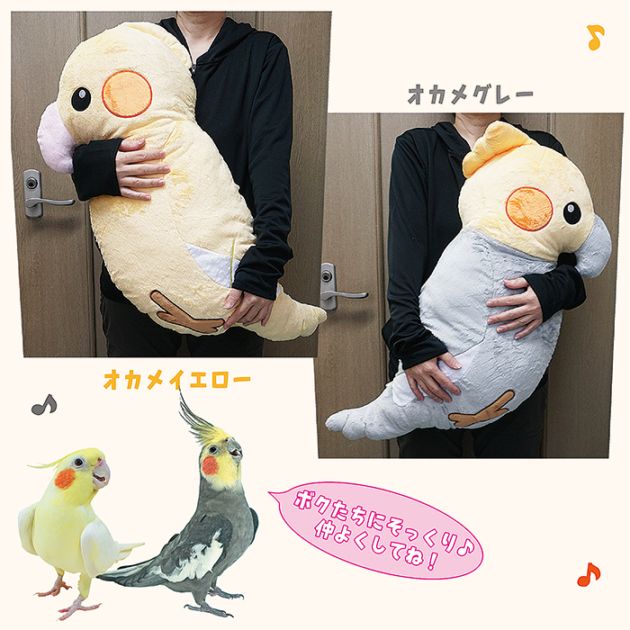 オカメインコXL/ぬいぐるみ 抱き枕 小鳥 大き目 グレー イエロー