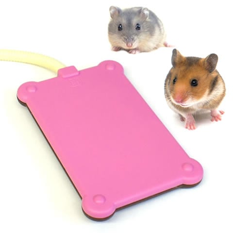 リピーター☘️ハムやん様20:20 Amazon | マルカン RH-201 ほっとハム暖ドームヒーター