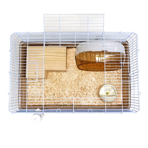 ハリネズミ飼育セット ハリネズミがすぐ飼える 飼育グッズ13点セット 初心者セット 初めての