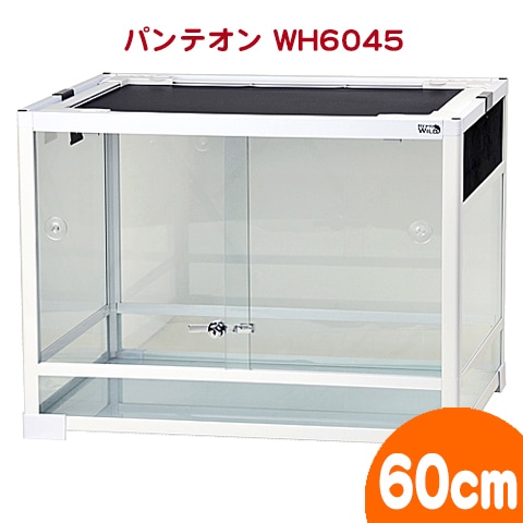 �ѥ�ƥ��� �ۥ磻�� WH6045�ڰ��٤Τ���ʸ��1�Ĥޤǡ�/������ ������ ���饱���� ���饹 �ϥॹ���� ���� ����� ξ���� PANTHEON ���󥳡� ��������