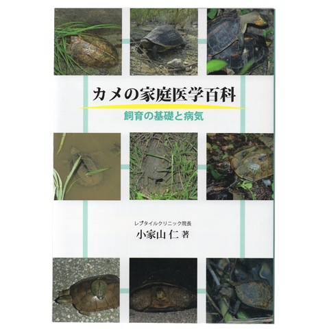 カメの家庭医学百科 飼育の基礎と病気/本 書籍 亀 かめ 飼育書 爬虫類