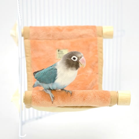 ステージモック/小動物・小鳥用ステージ型ハンモック インコ デグー
