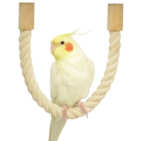 （オーダーページ）ハンドメイド インコさんのぐるぐるロープパーチ オーダーページ）ハンドメイド インコさんのぐるぐるロープパーチ