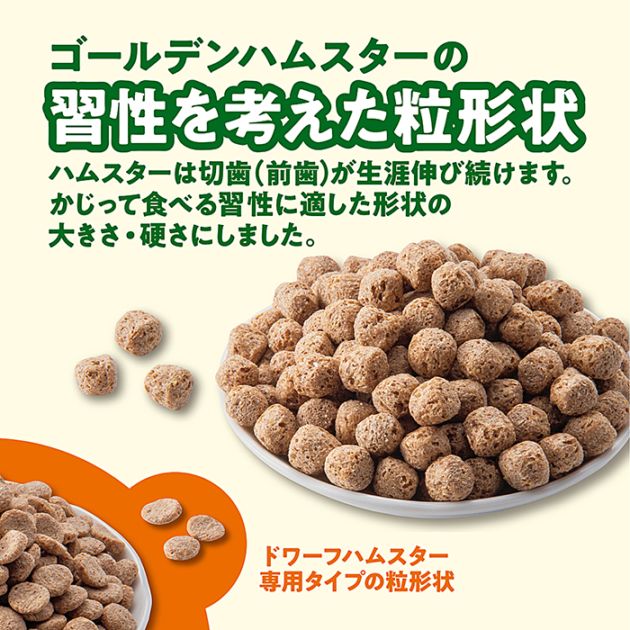 数量限定特価セール中！】GEX ハムスタープレミアムフード ゴールデン