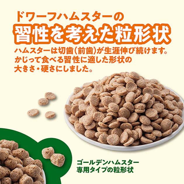 数量限定特価セール中：賞味期限2026年10月】GEX ハムスタープレミアム