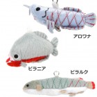 A-SHOW Ǯ�ӵ����ӥ��ȥ�å�/������ʡ��ԥ�륯���ԥ�˥���Ǯ�ӵ� ����� �̤������ TST