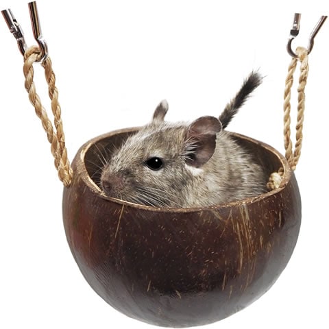 レインボー ココナッツポット/ハウス 寝床 隠れ家 遊び場